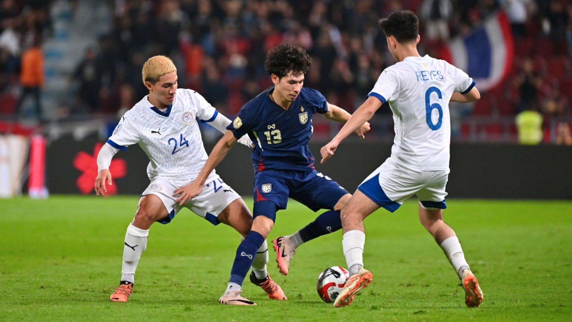 数据亮点 数据亮点